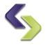 anonymous Logo
