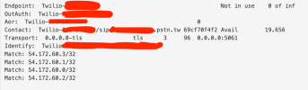 twilio trunk.png