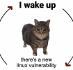 1778279603377.png