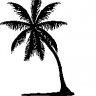 islandtech