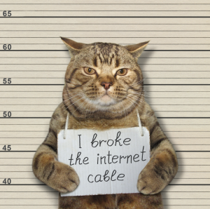 What is voip jitter