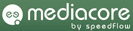 softswitch - 2