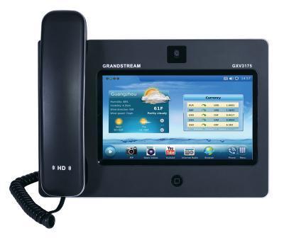 Grandstream GXV3175 - 4
